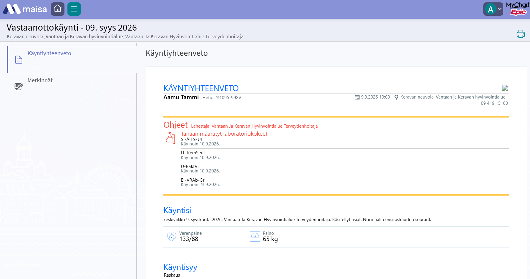 Kuvassa esimerkki käyntiyhteenvedosta testiympäristöstä.
